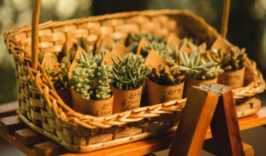 lembrancinha-feita-em-casa-diy