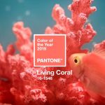 Living Coral: A Cor do Ano Pantone 2019