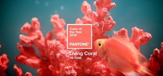 Living Coral: A Cor do Ano Pantone 2019