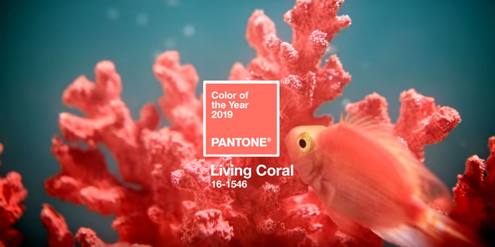 Living Coral: A Cor do Ano Pantone 2019