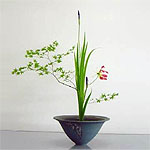 Ikebana Shoka