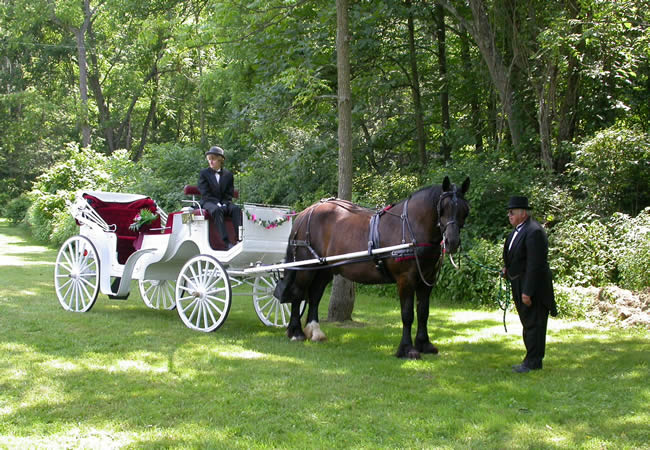 Carruagem para casamento, helicóptero e outros trasnportes para a noiva